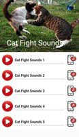Cat Fight Sounds captura de pantalla 3