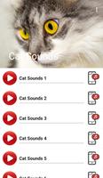 Cat Sounds captura de pantalla 1