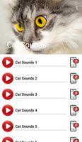 Cat Sounds تصوير الشاشة 1
