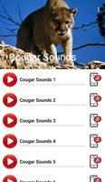 Cougar Sounds Plakat