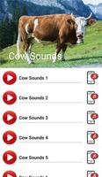 Cow Sounds الملصق