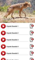 Coyote Sounds-poster