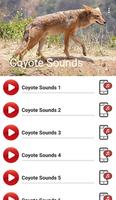 Coyote Sounds Poster
