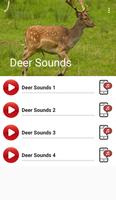 پوستر Deer Sounds