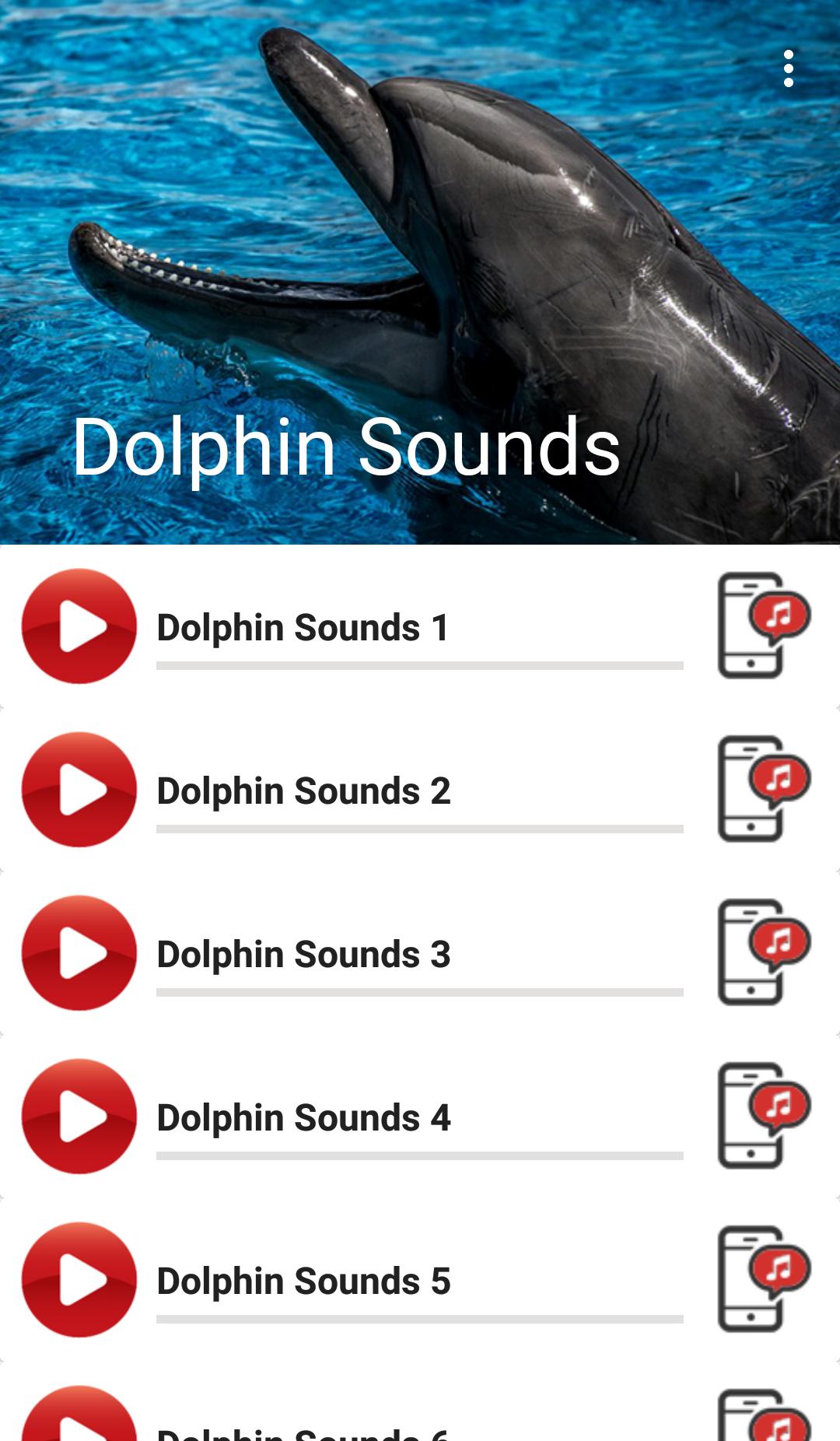 Dolphin APK. Как увеличить максимальную производительность Dolphin на андроид. Dolphin api