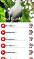 Dove Sounds Ekran Görüntüsü 1