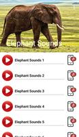 Elephant Sounds capture d'écran 3