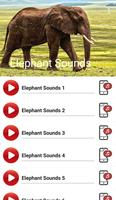 Elephant Sounds Plakat