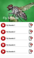 Fly Sounds Plakat