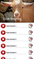 Goat Sounds ポスター