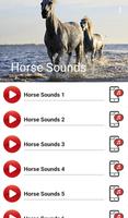 Horse Sounds Affiche