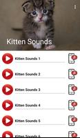 Kitten Sounds Plakat