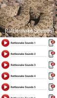 1 Schermata Rattlesnake Sounds