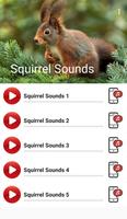 Squirrel Sounds syot layar 1