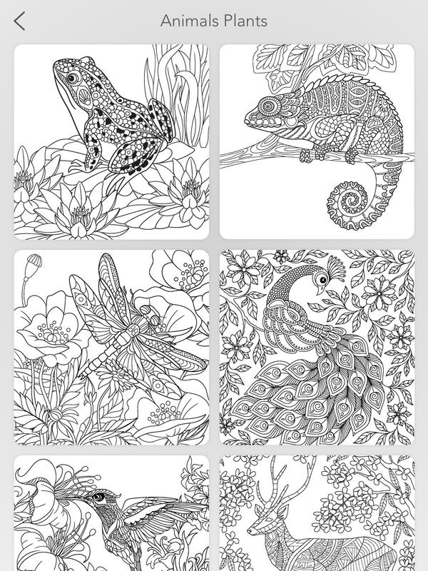 Garden Coloring Book Apk Free Art Design For