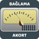 Bağlama Akort APK