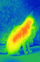 Thermal Vision Simulator Affiche