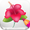 Draw Flowers with Sketch