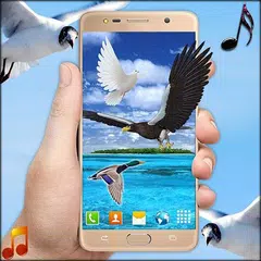 Скачать Flying Birds Live Wallpaper 3D Phone Backgrounds APK