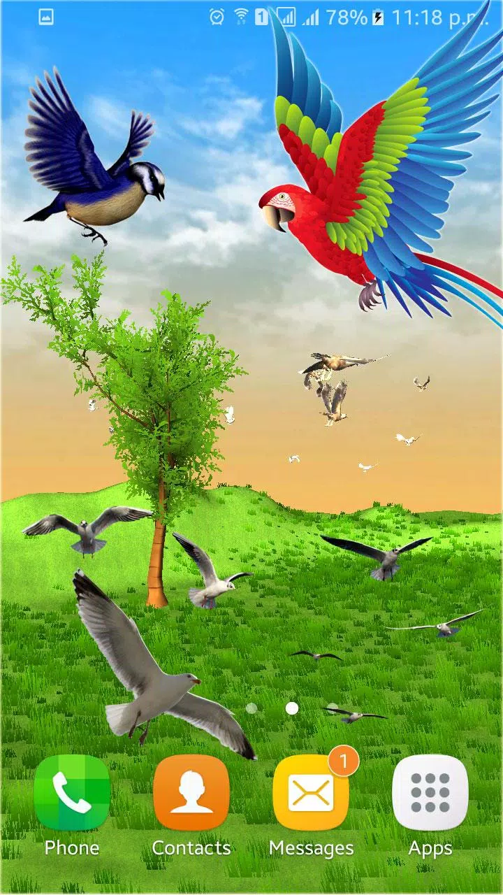 Flying Birds Live Wallpaper 3D Phone Backgrounds APK for Android Download