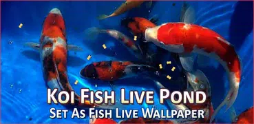 Fisch Live Hintergrund 3D Live Koi Fish Wallpaper