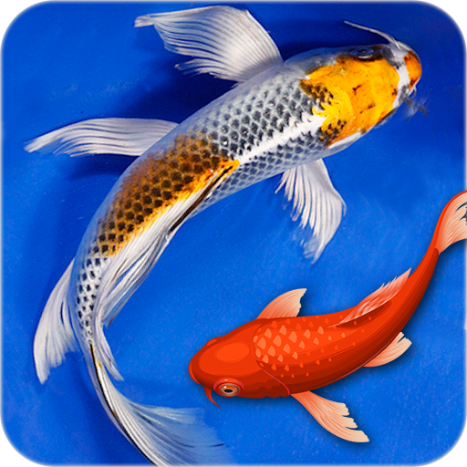 Fish Live Wallpaper 3D: Aquarium Phone Background