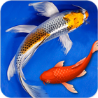 fond d'écran animé poisson gratuit: Fish Wallpaper icône