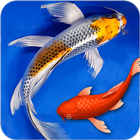 Fish Live Wallpapers For Lock Screen & Home Screen আইকন