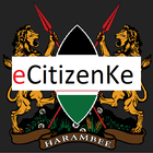 eCitizen Kenya 2 icône