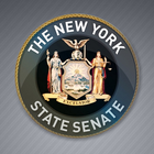 Contact NYS Senators icône