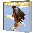 Icona Eagle Info Book