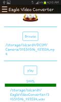 Eagle Video Converter screenshot 3