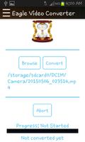 Eagle Video Converter screenshot 2