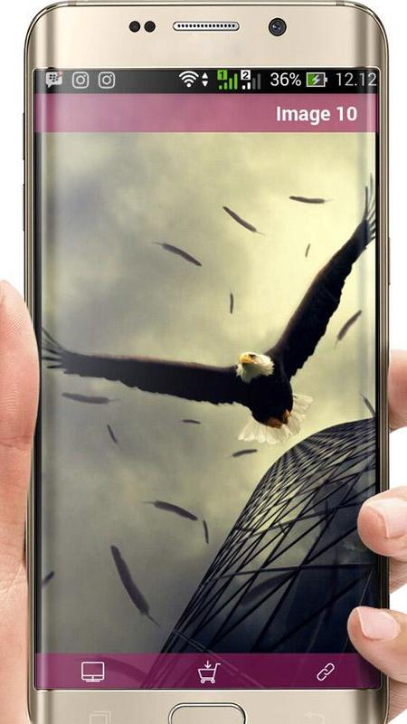 Eagle Wallpaper Hd For Android Apk Download