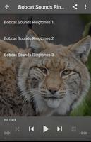 Bobcat Sounds Ringtones screenshot 1