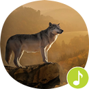Wolf Sounds Ringtones APK