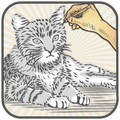 Cute cat drawing