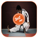 Learn Taekwondo At Home APK