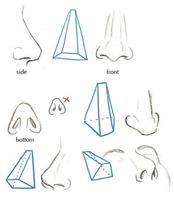 Easy Nose Drawing Tutorials Affiche