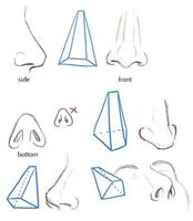 Easy Nose Drawing Tutorials پوسٹر