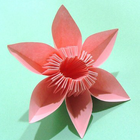 Easy Origami Instructions simgesi