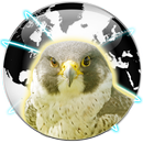Falcon Private Browser APK