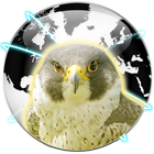 Falcon Private Browser icono