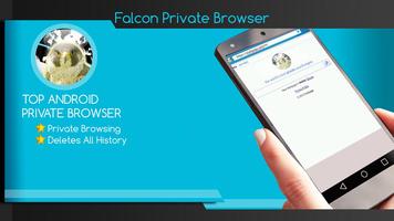 Falcon Private Browser plakat