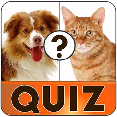 download Free english vocabulary quiz APK