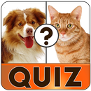 Free english vocabulary quiz APK