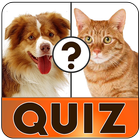 Free english vocabulary quiz simgesi