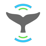 Whale Alert icon