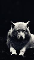 برنامه‌نما HD Wolf Wallpapers عکس از صفحه