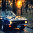 Mustang Wallpapers-icoon